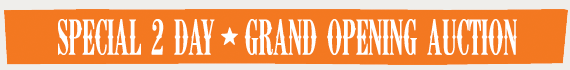 Special 2 Day - Grand Opening Auction