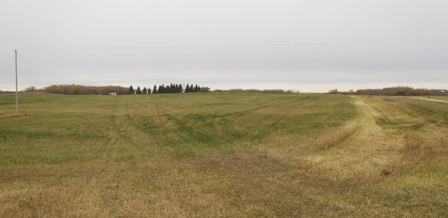 Agriculture real estate for sale in upcoming farm auctions