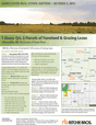 download brochure (PDF)