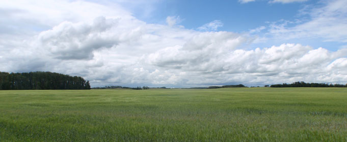 Lamont, AB