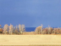 The Meadows at Wood Lake Real Estate Auction