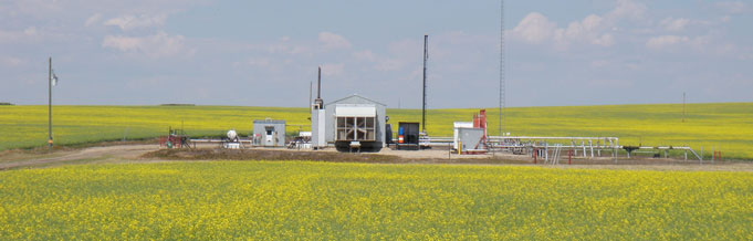 $Image1.altTag.data