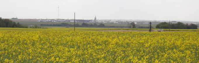 $Image2.altTag.data