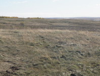 Marwayne, AB