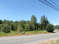 Olympia, WA Real Estate Auction