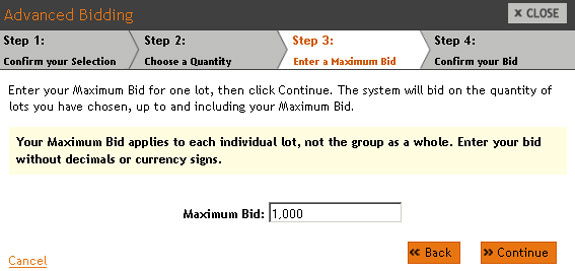 Enter a Maximum Bid