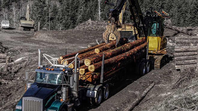 Used Forestry, Logging