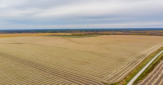 Ritchie Bros. achieves record farmland prices Ritchie Bros. achieves record farmland prices
