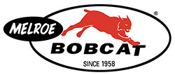 Bobcat