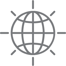 Multiple global sales channels Multiple global sales channels