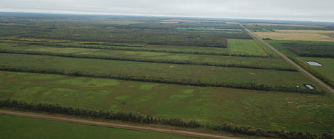 Southern Alberta Farms For Sale Find Nearby Ranches Acreages For Sale Point2