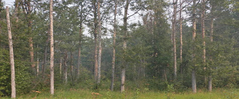 2.50 Acre Land for Sale Located at 10701 / 05 – 96 Street, High Level,  Alberta - 10701 / 05 – 96 Street, High Level, High Level, Alberta - JLL  PowerSearch