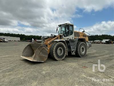 Photo of a 2020 Liebherr L566