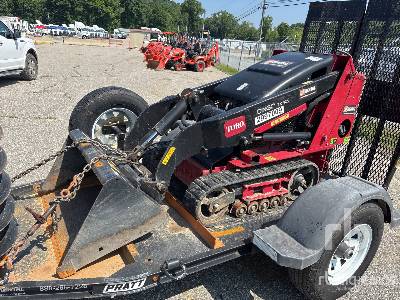 Photo of a 2020 Toro DINGO TX427