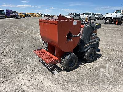 Photo of a 2022 Ditch Witch R300