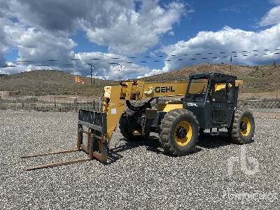 Photo of a 2016 Gehl RS10-44