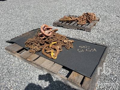 Quantity of Chain Sling Quantity of Chain Sling