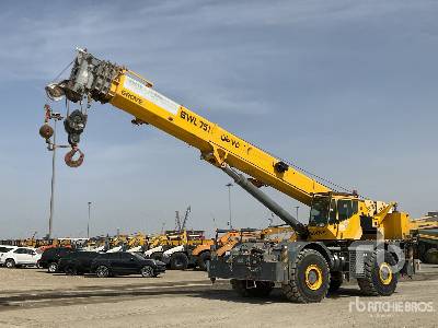 Photo of a 2008 Grove RT880E