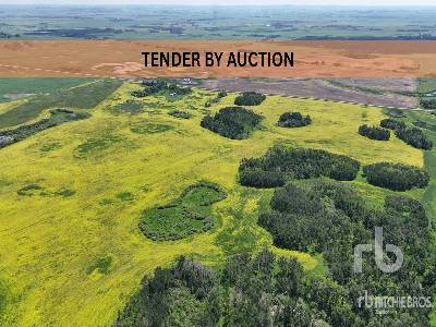 WINDTHORST, SK  NE 5-14-6-W2  159.83 +/- Acres on Title  Farmland