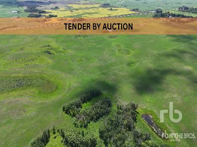 WINDTHORST, SK  SE 17-14-6-W2  158.99 +/- Acres on Title  Farmland