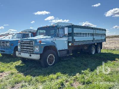 Photo of a 1982 International F1954