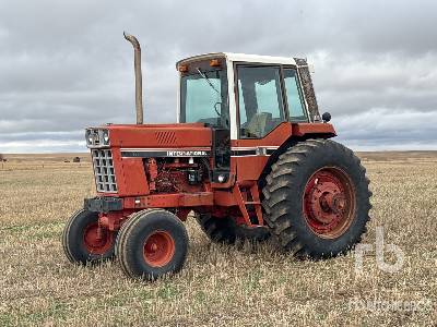 1981 International 1486