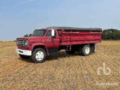 1982 GMC 6000 4x2 Grain Truck 1982 GMC 6000 4x2 Grain Truck